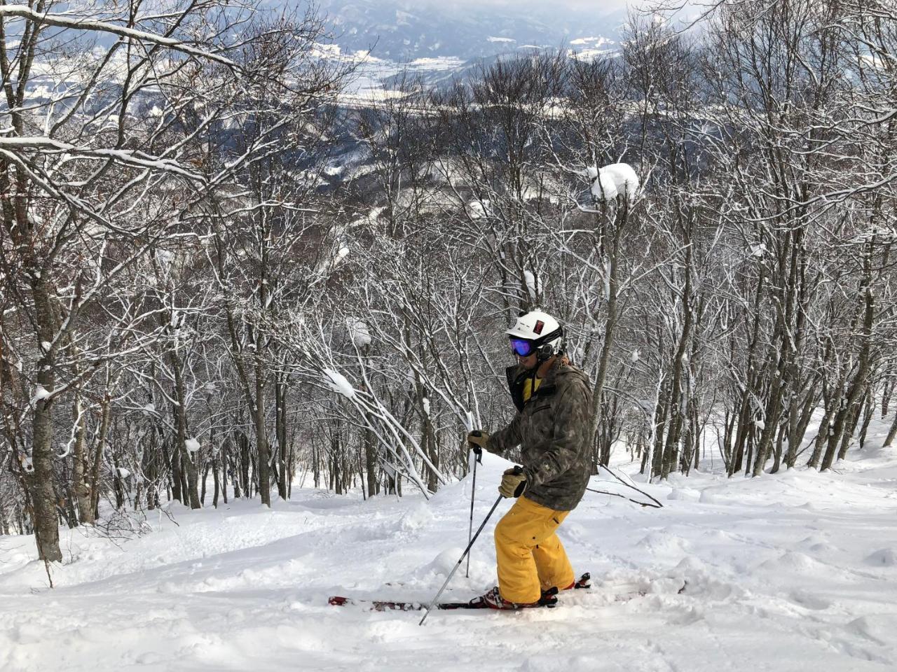 Onsen Yado Echo Hotel Myoko Eksteriør billede
